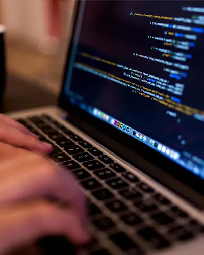 The best CMS in town! Your WordPress development is stitched to perfection, drawing ways to be updated easily anytime.