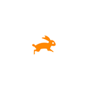 Custom Animations